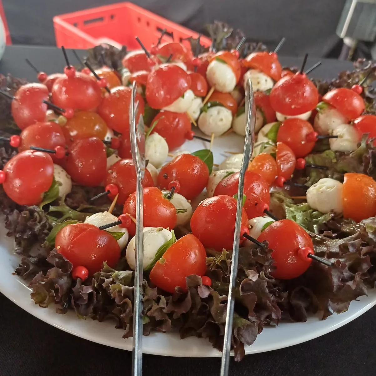 Der Teller mit Salat, der aber mit Tomate und Mozzarella so gestaltet ist, das es kleine Fliegenpilze sind. Schön auf einen Teller angerichtet, inmitten eines Salatrings.